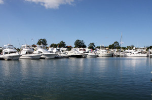 a line-up of gorgeous boats